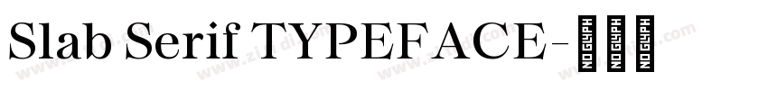 Slab Serif TYPEFACE字体转换